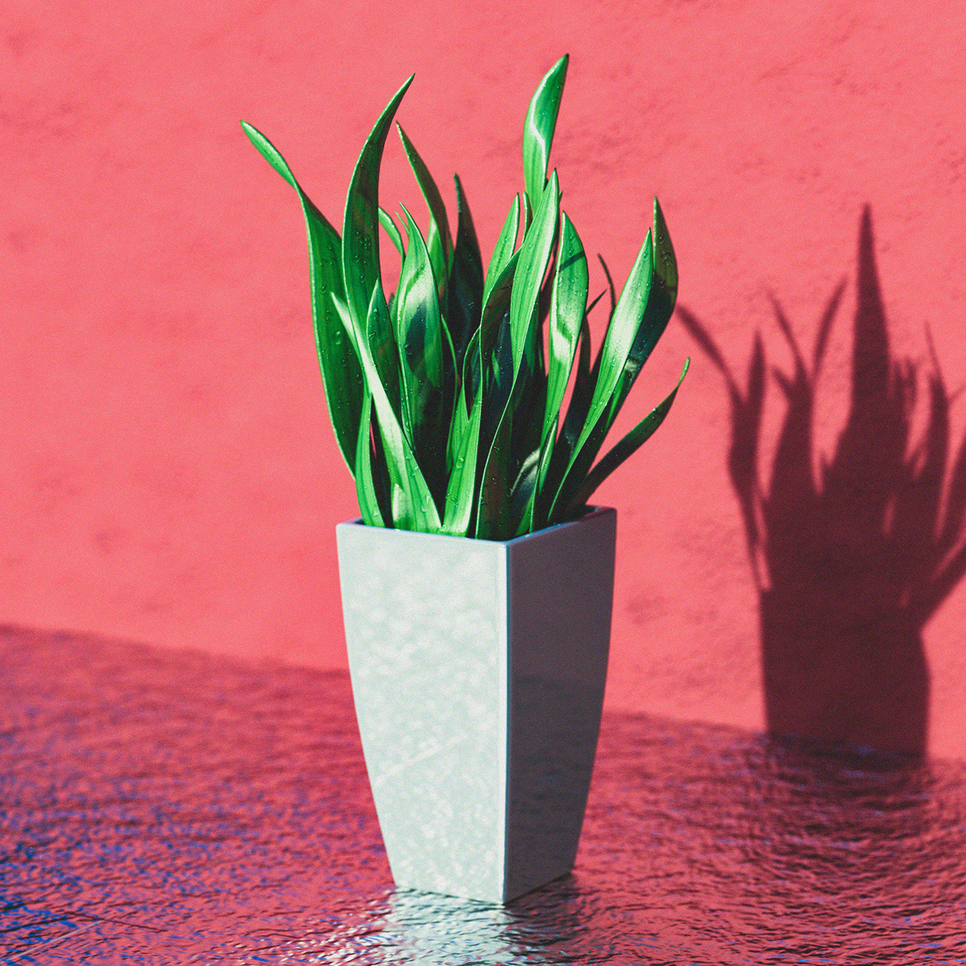 accepts p kumar，Light bulb:，camera，sound，Rendering，