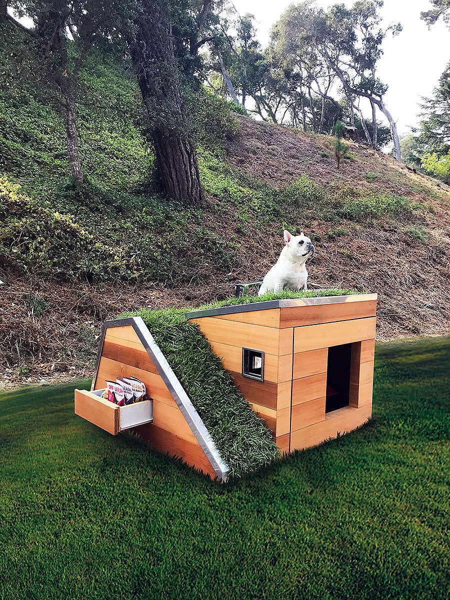 kennel，Sustainable design，woodiness，