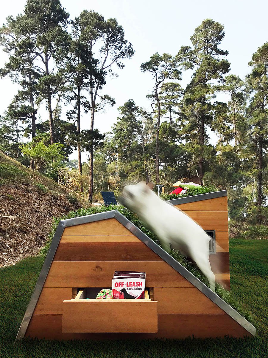 kennel，Sustainable design，woodiness，