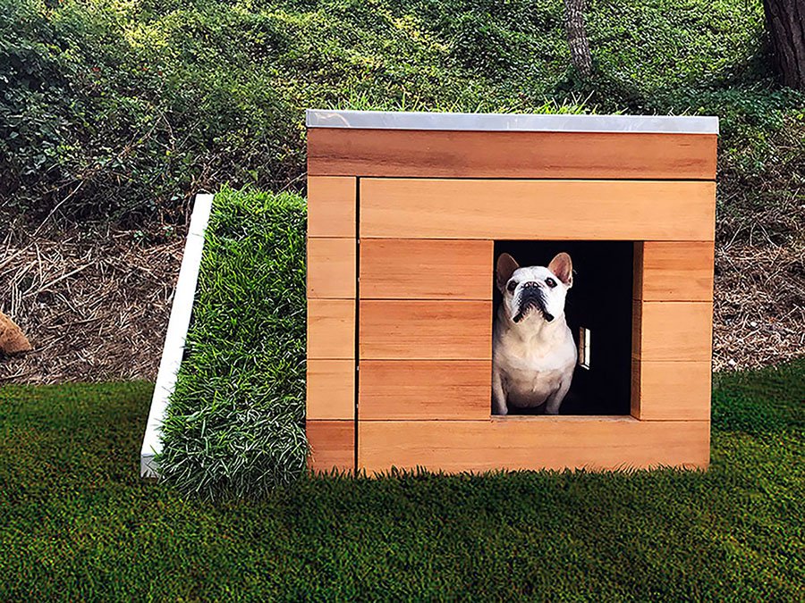 kennel，Sustainable design，woodiness，