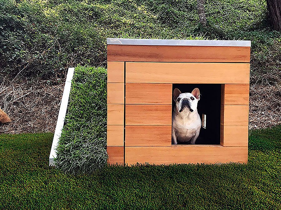 kennel，Sustainable design，woodiness，
