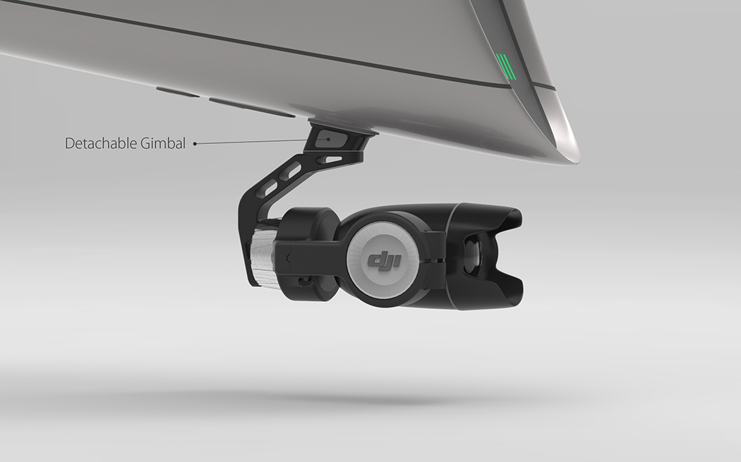 Arman，white，insect，UAV，BIf，