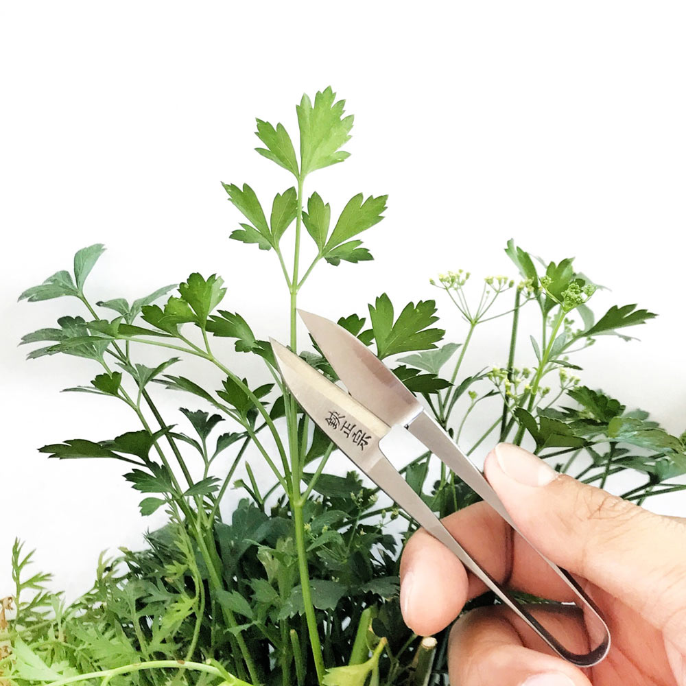 RT1home，Botany，gardening，tool，