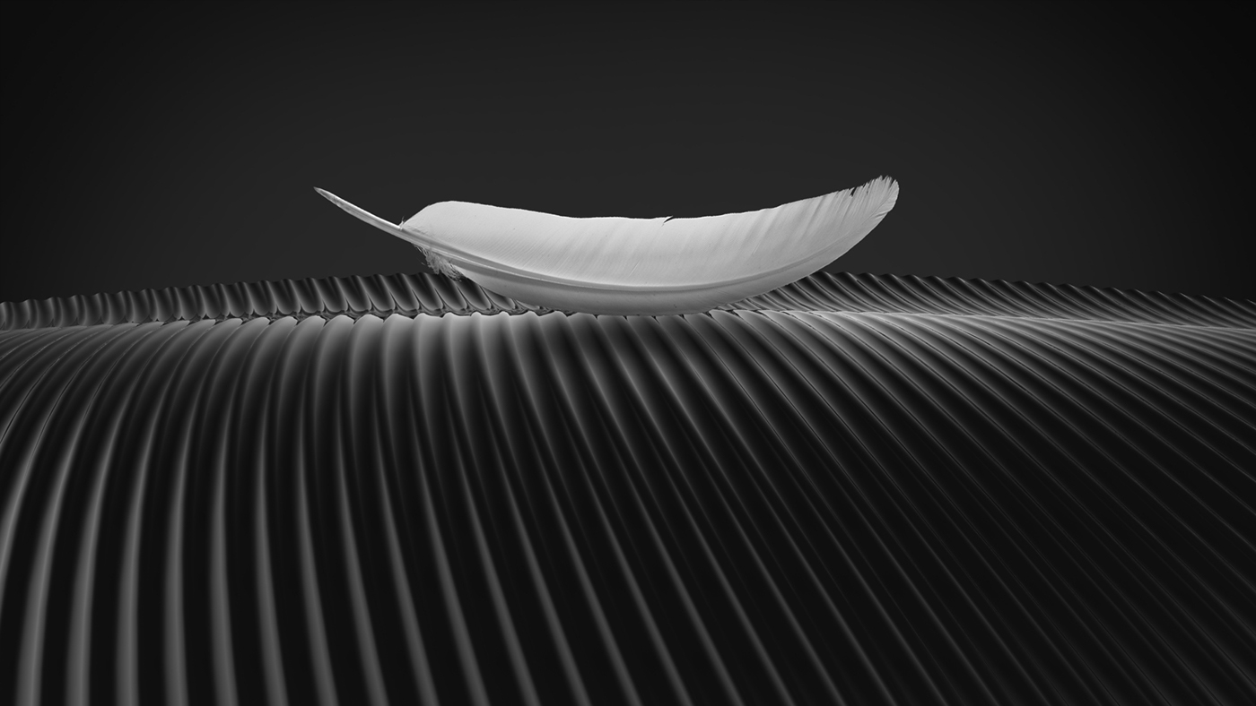 Haute，Feather，inspiration，Electric water heater，texture，