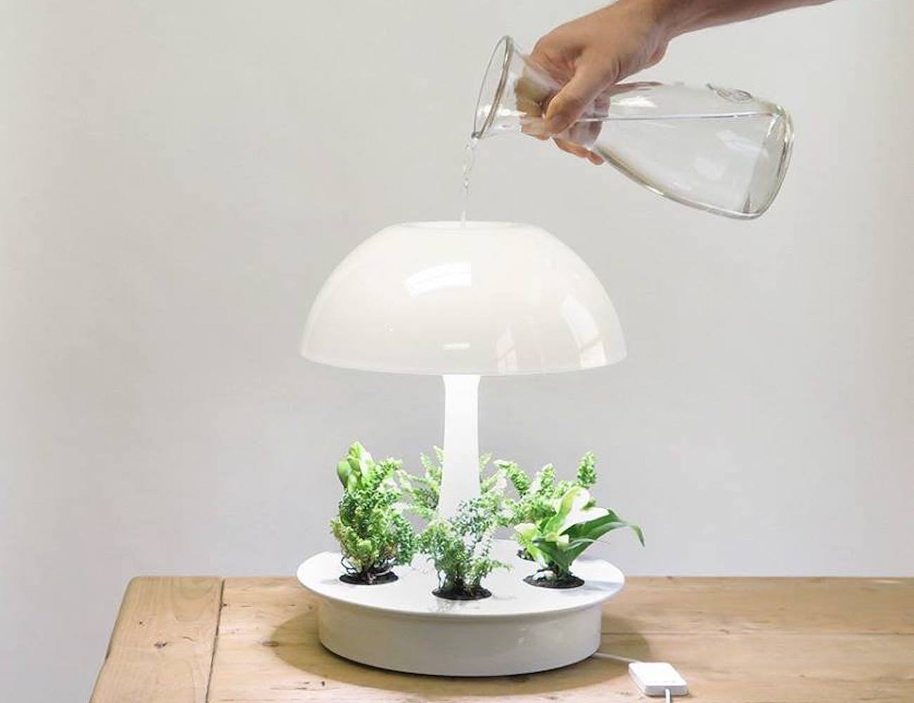 led，Ambienta，白色，水培，植物，照明，台灯，