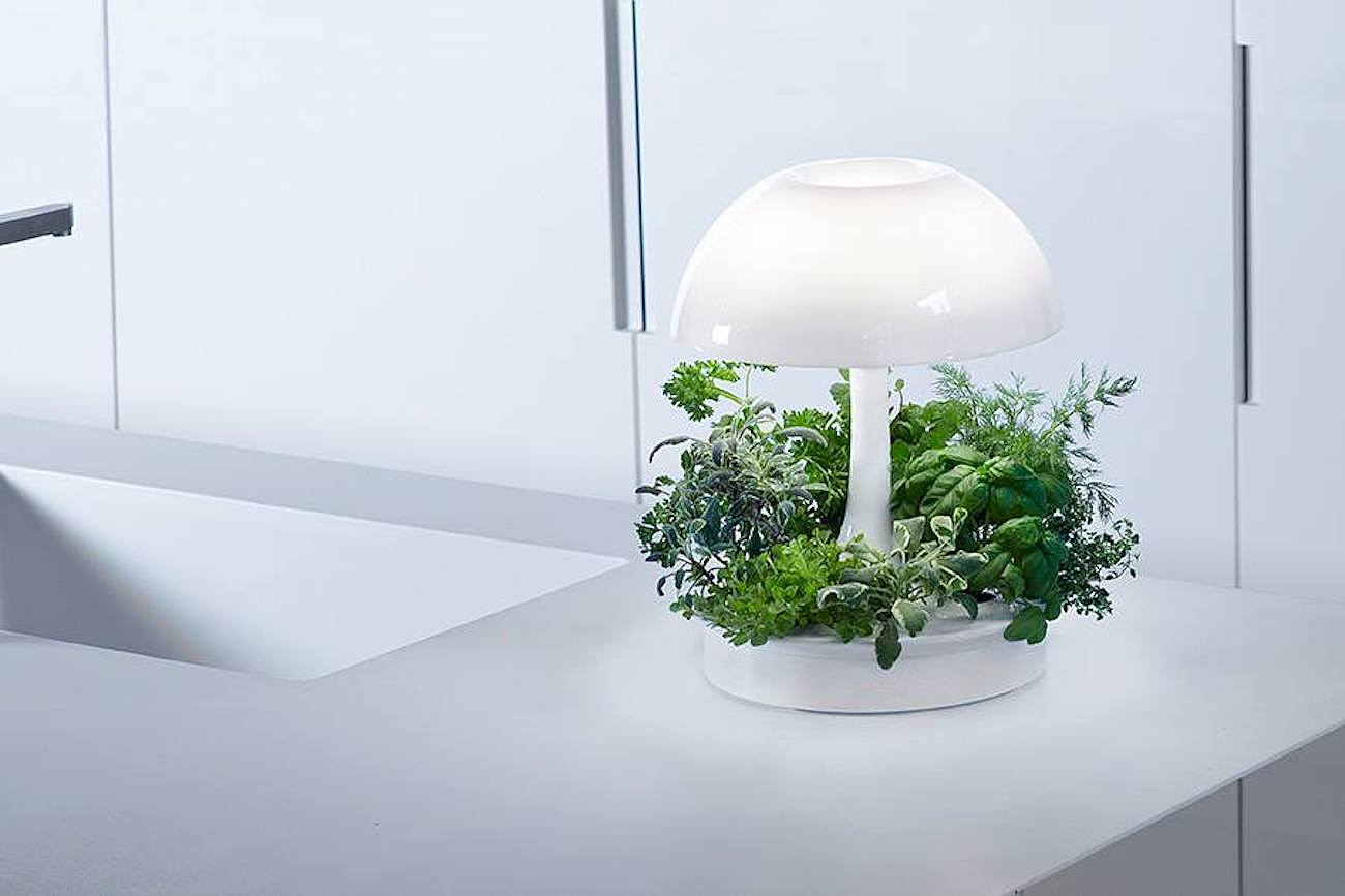 led，Ambienta，白色，水培，植物，照明，台灯，
