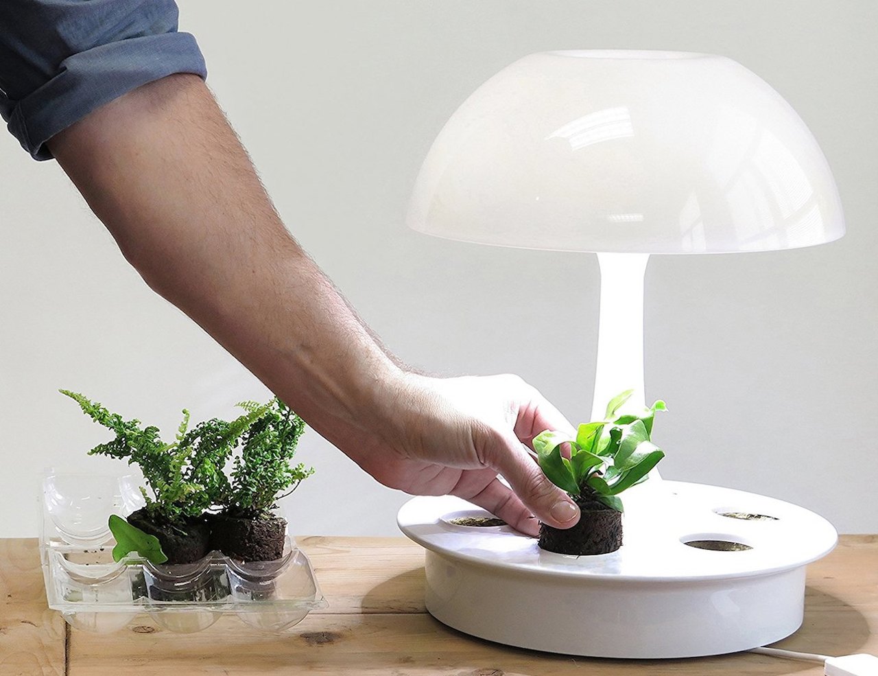 Ambienta 台灯 是您疲劳时的一盏绿洲 普象网