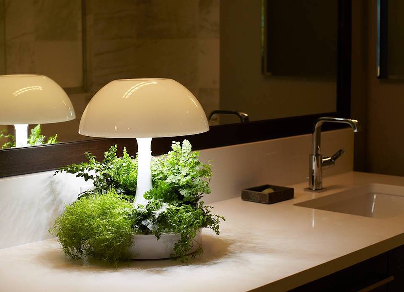 led，Environment，white，Hydroponic culture，Botany，lighting，Desk lamp，
