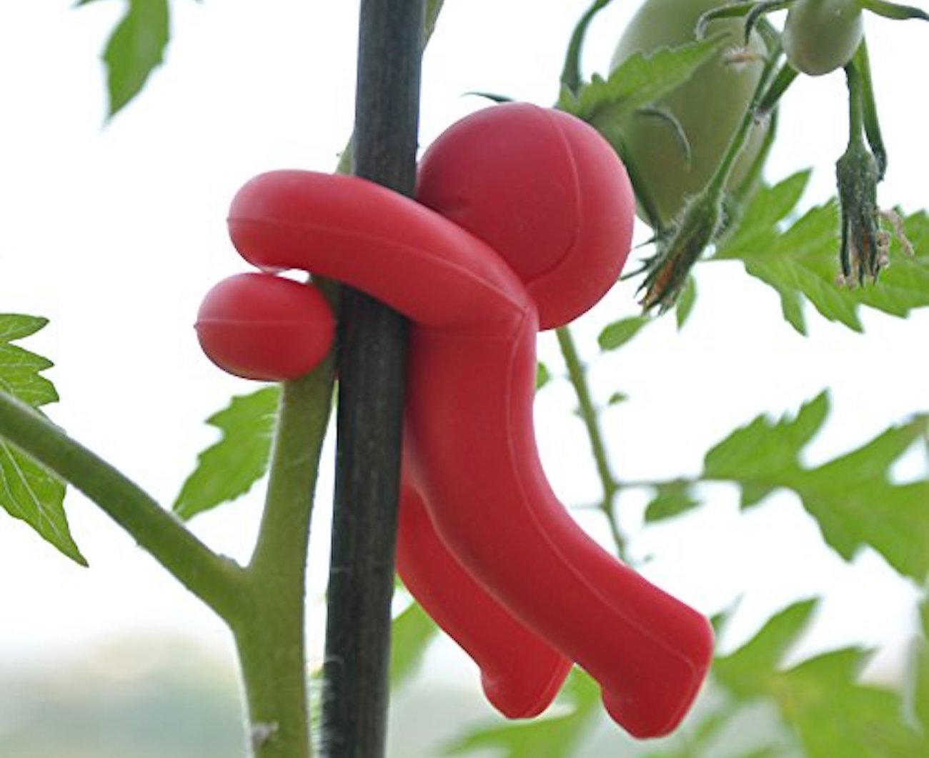 product design，industrial design，gules，unique，organosilicon ，Tableware accessories，