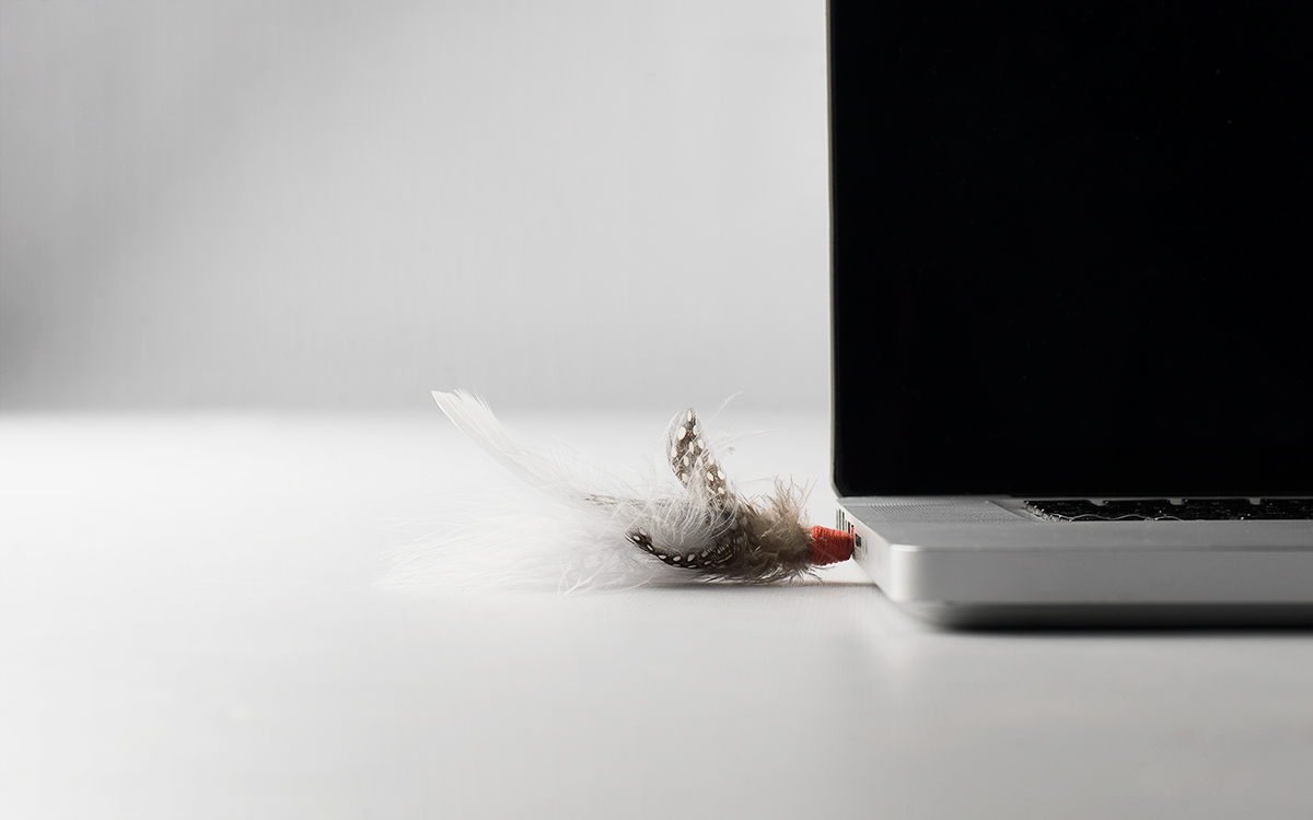 sketch，AGILITÉ，USB flash disk，woodiness，Feather，