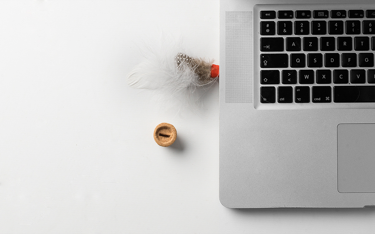 sketch，AGILITÉ，USB flash disk，woodiness，Feather，