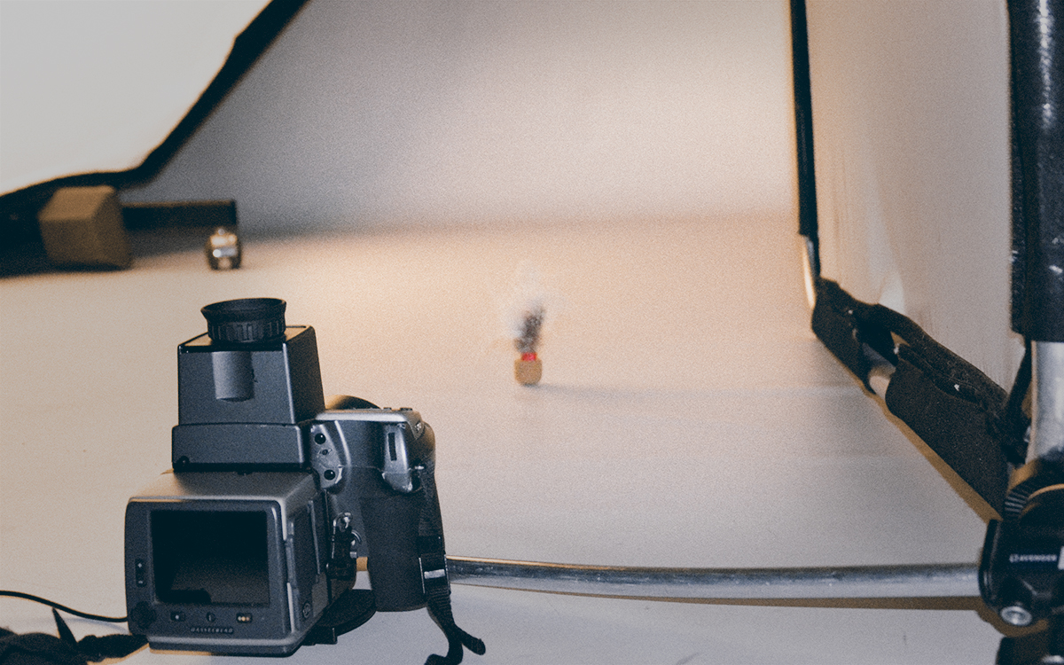 sketch，AGILITÉ，USB flash disk，woodiness，Feather，