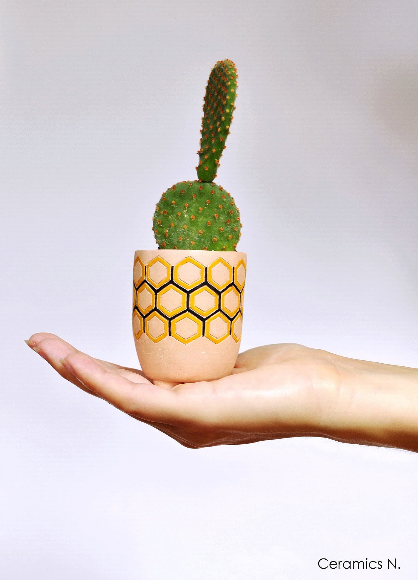 Flowerpot，industrial design，product design，