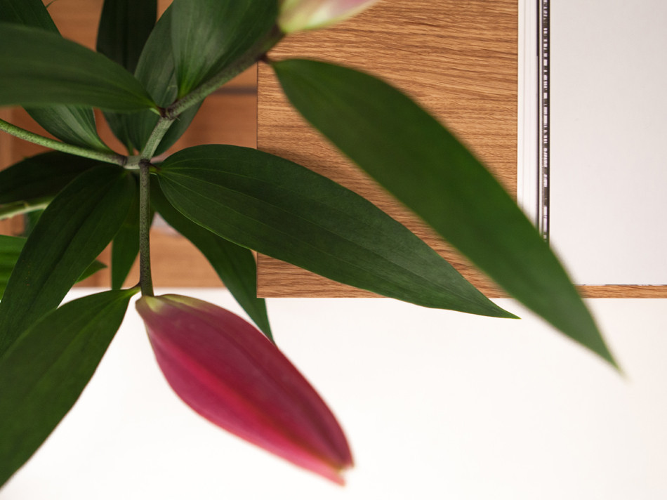 Point line surface，Temporary，desk，removable ，antique-and-curio shelves，Storage rack，TV cabinet，Lockers，care，Private space，Drying clothes，Receive，Storage，coat hanger，wardrobe，Modular design，Furniture home，