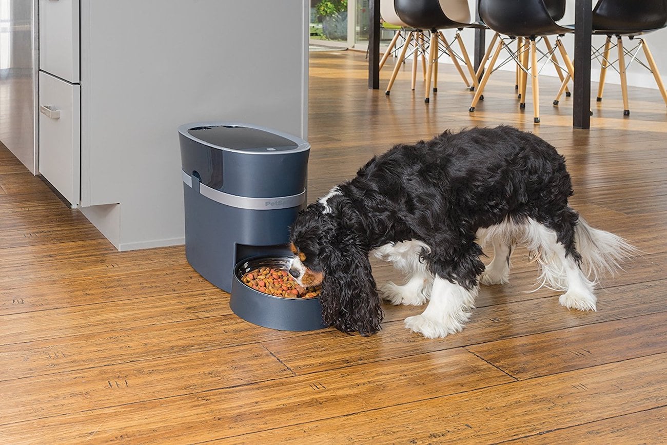 intelligence，Automatic pet feeder，PetSafe Smart，