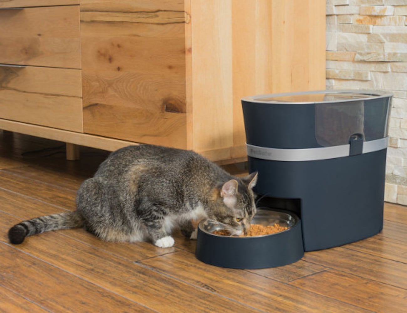 intelligence，Automatic pet feeder，PetSafe Smart，