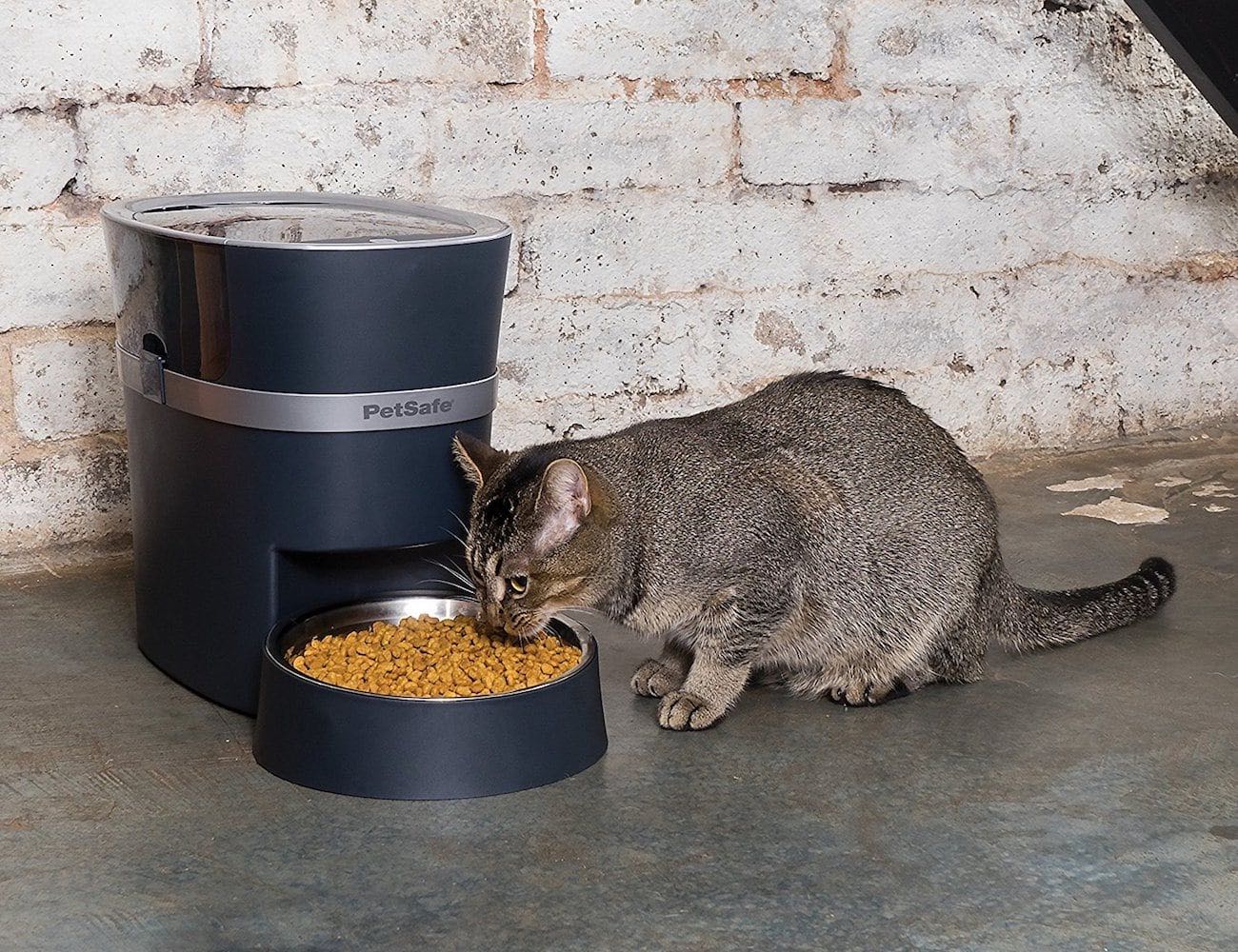 intelligence，Automatic pet feeder，PetSafe Smart，