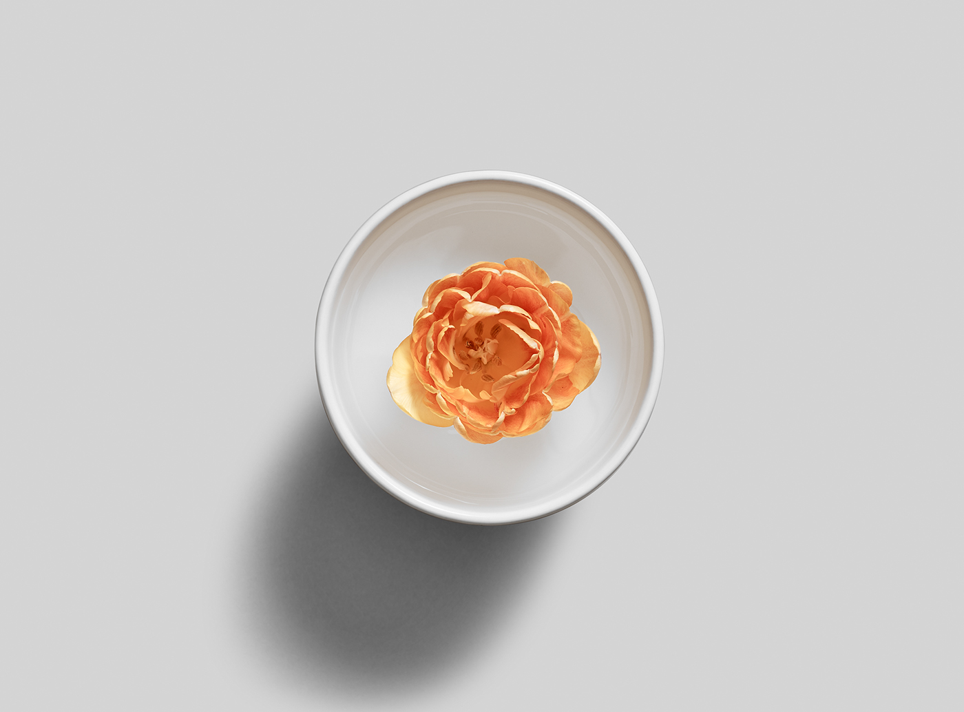 OTHR，3D printing porcelain，Water cup，GLITCH，