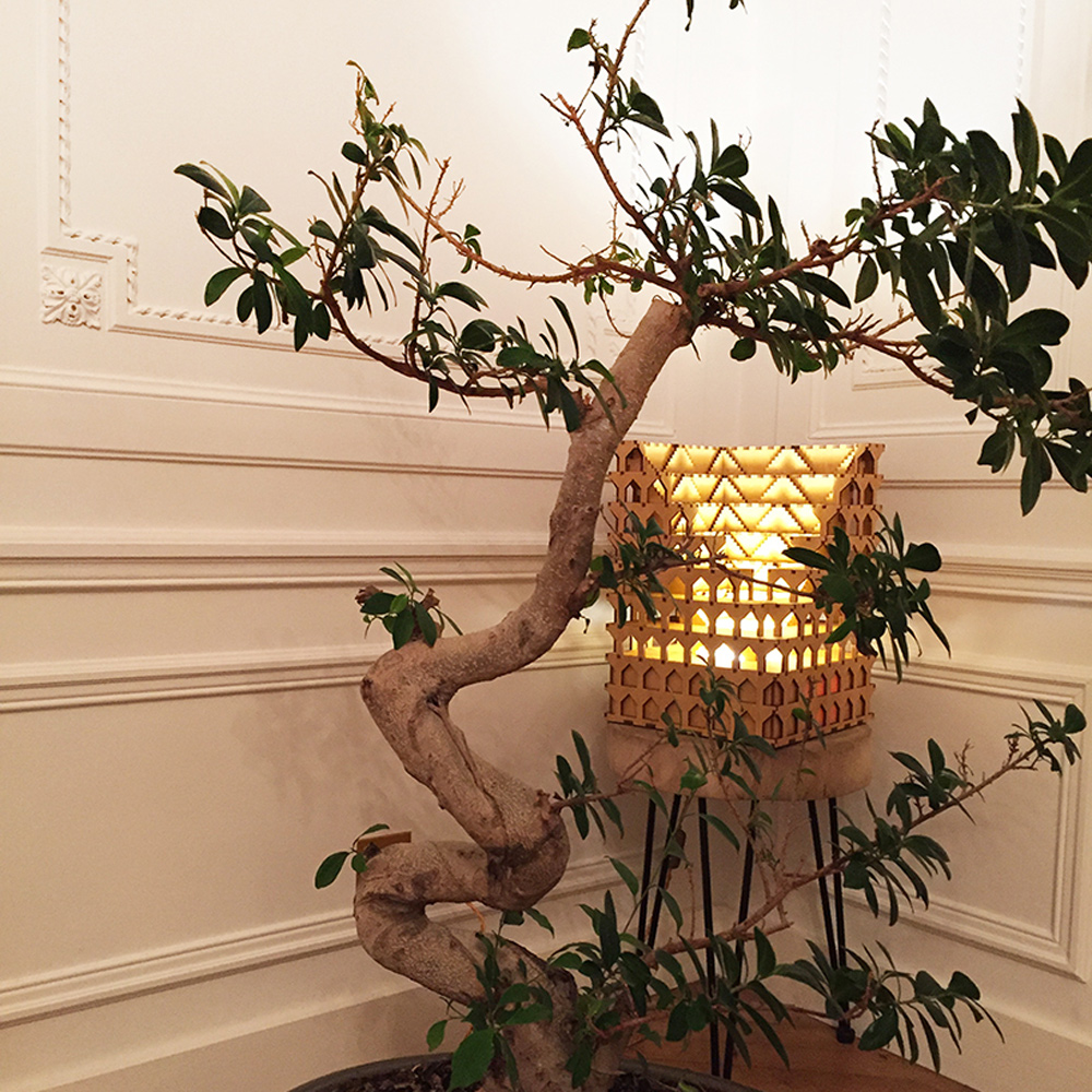 lighting，Home Furnishing，Tango，Architecture，Lighting，tkt，