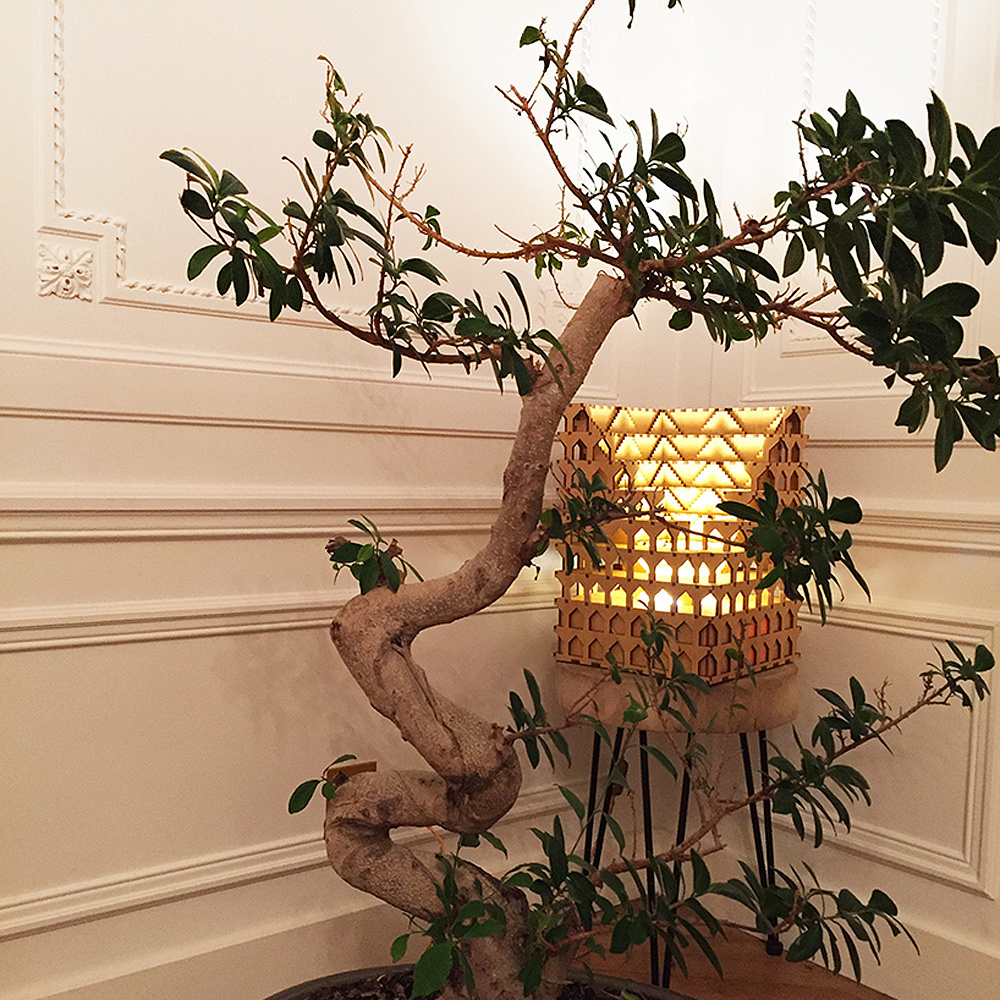 lighting，Home Furnishing，Tango，Architecture，Lighting，tkt，