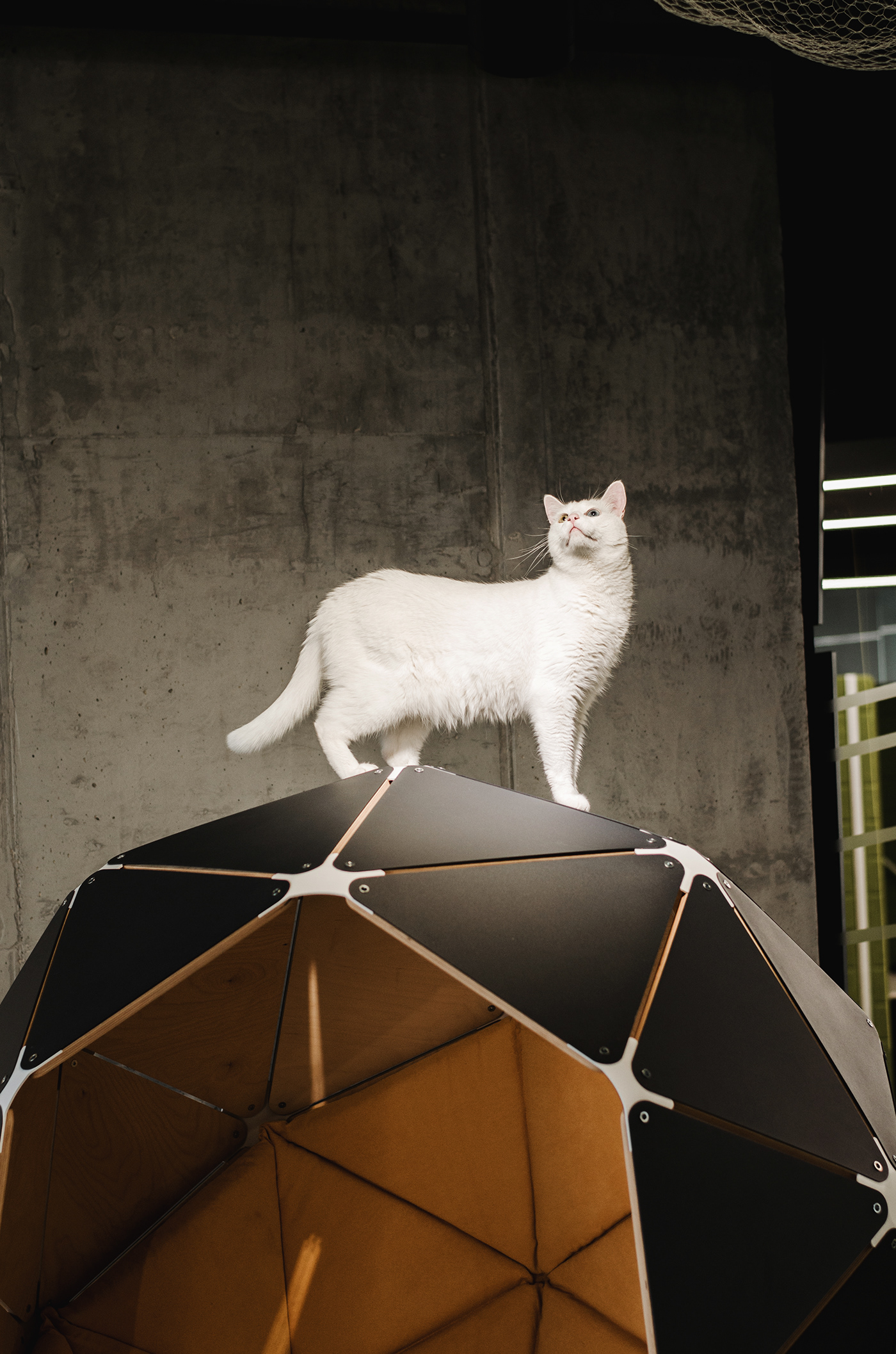 THE PLANET，star，chair，to work in an office，Triangular plate，fastener，assemble，