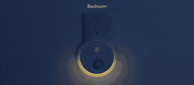 intelligence，Night light，Zing，