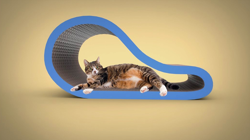 fresh，Pets，furniture，practical，