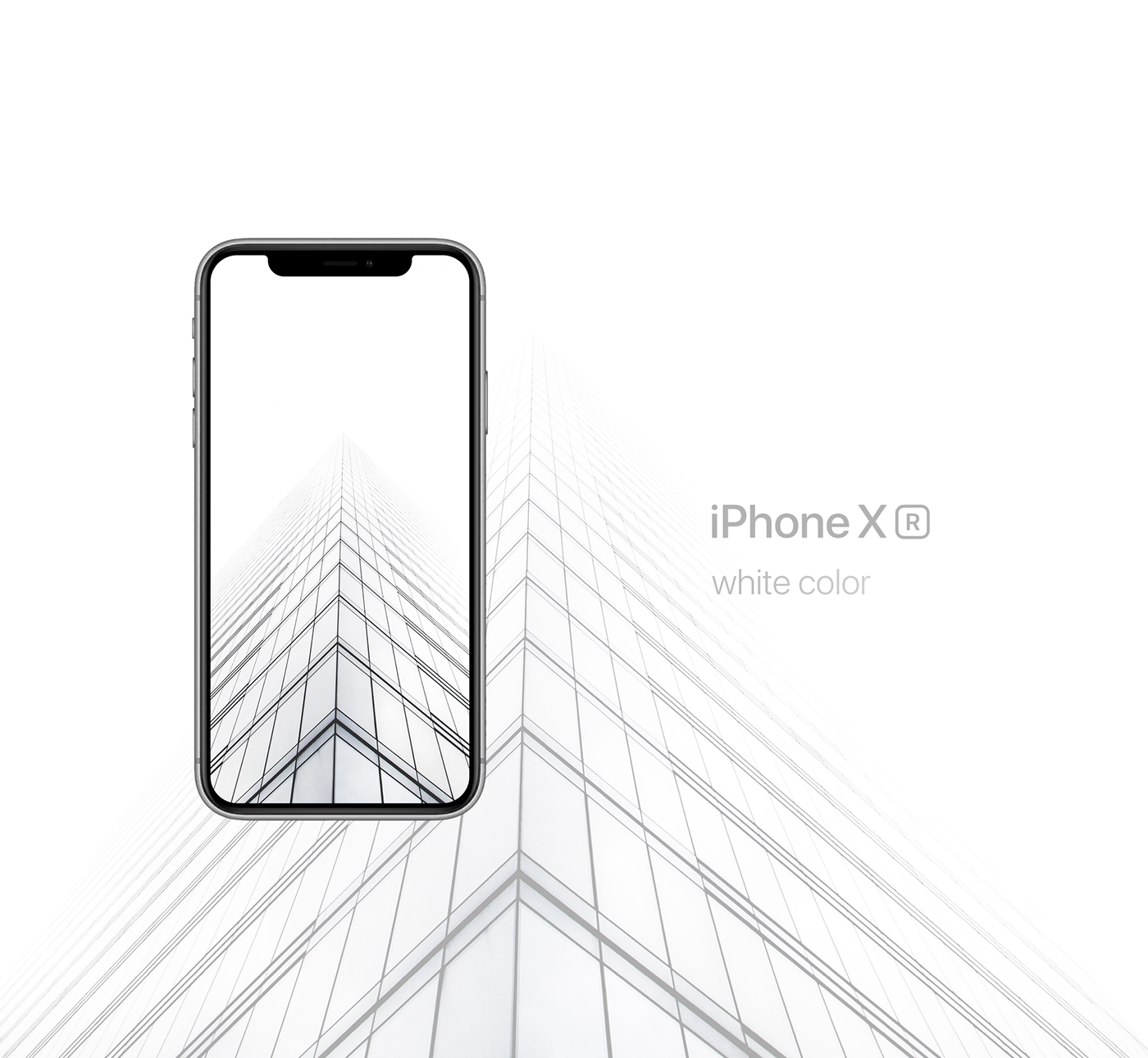 iPhone Xs，iPhone Xr，prototype，iphone，Apple，mobile phone，Moe Slah，