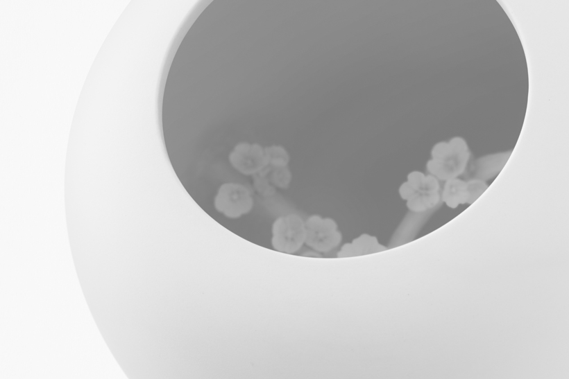 flower，Floral apparatus，