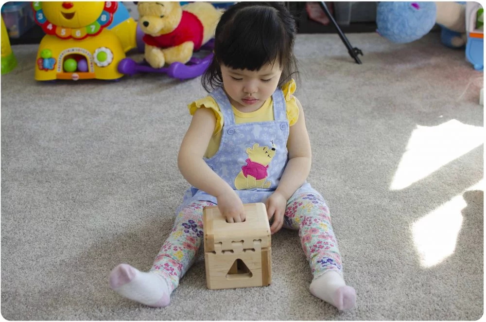 woodiness，Toys，cubic liters，