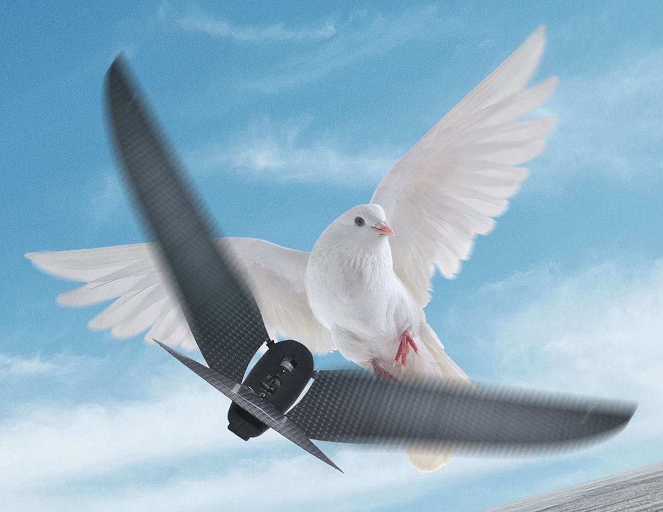 bionics，UAV，Bionic Bird，