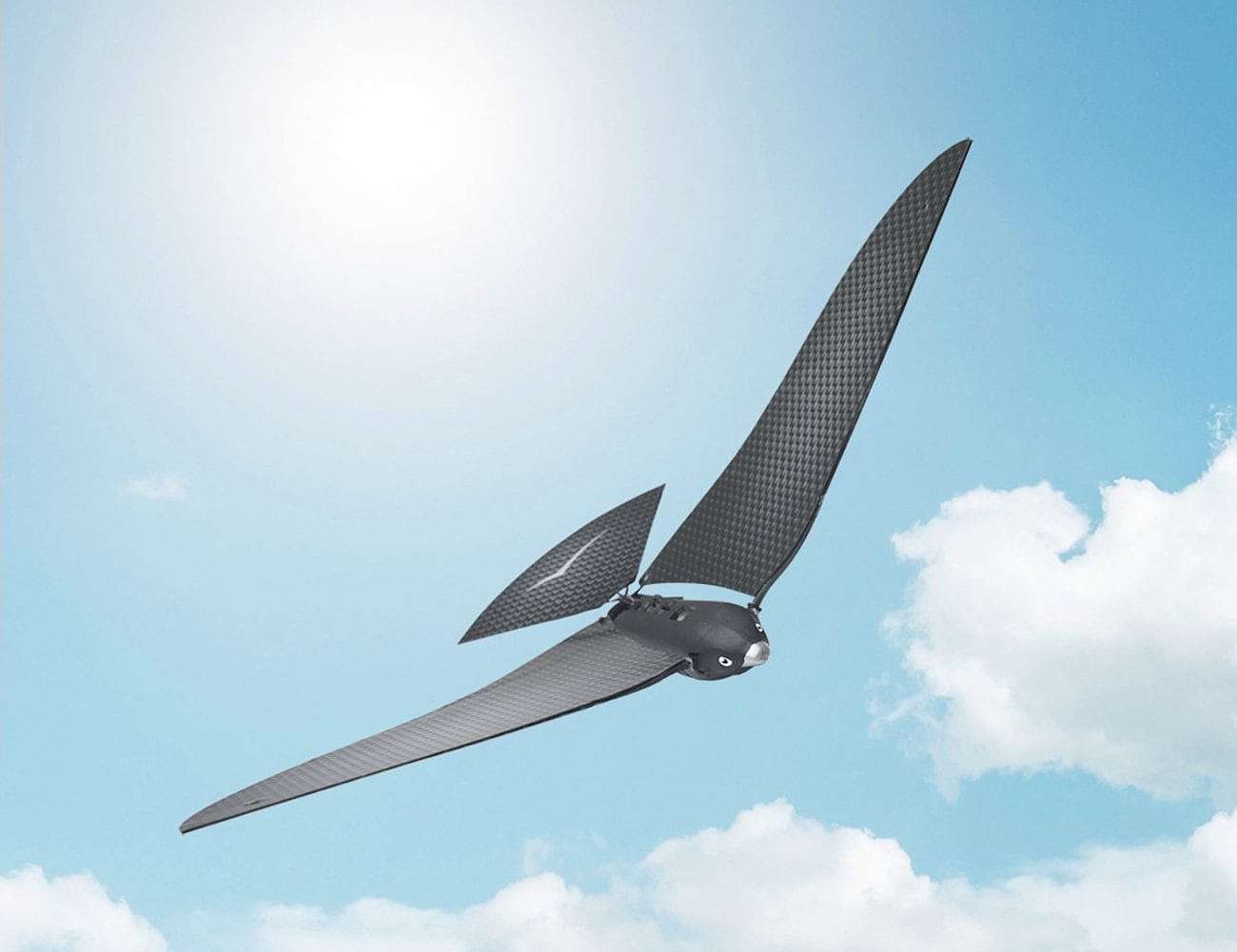 bionics，UAV，Bionic Bird，