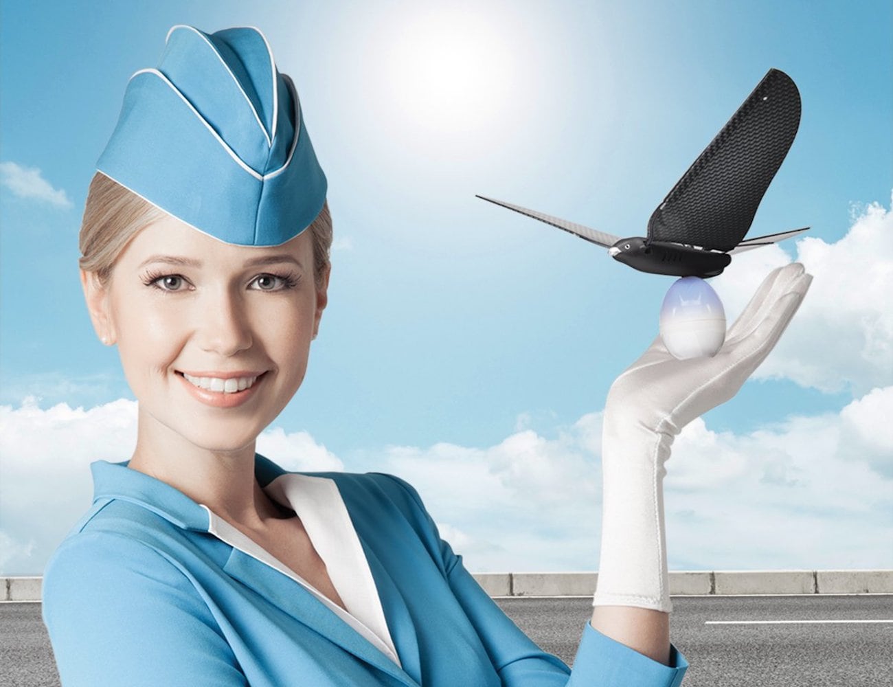 bionics，UAV，Bionic Bird，