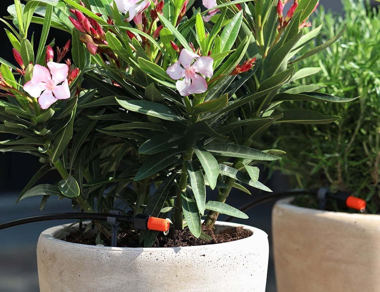 Water controller，intelligence，Elgato Eve Aqua，