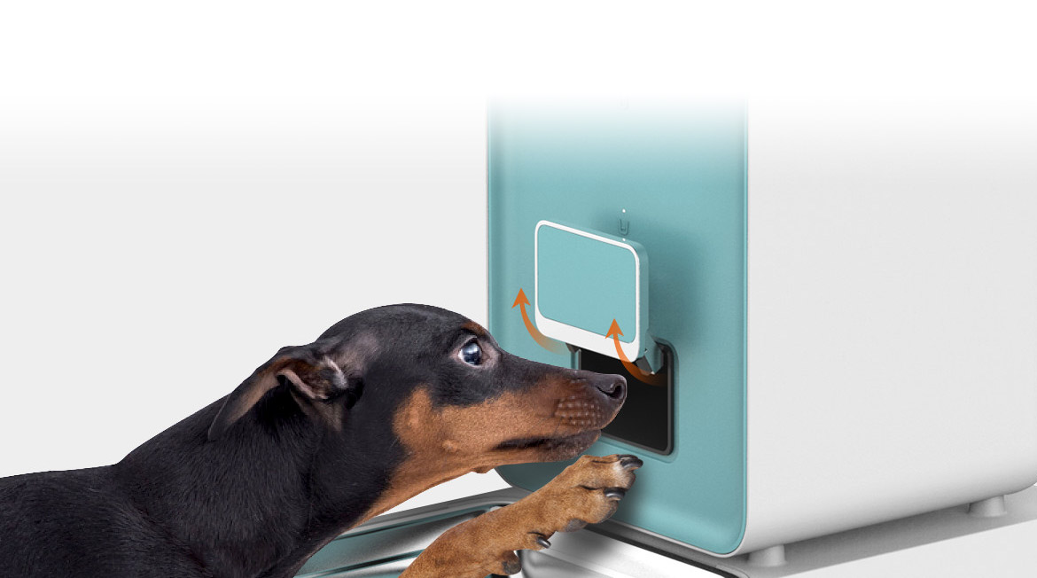 Pet feeder，product design，industrial design，2018 red dot award，