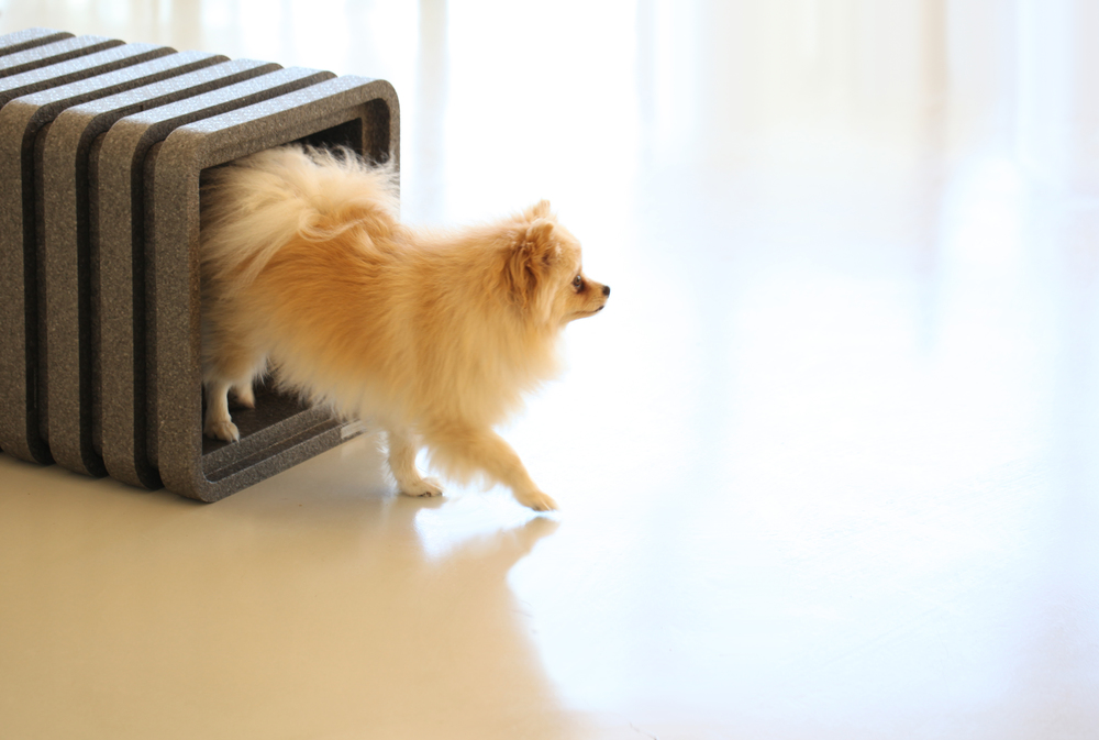 Pet nest，Pet Supplies & Pet，product design，2018 red dot award，