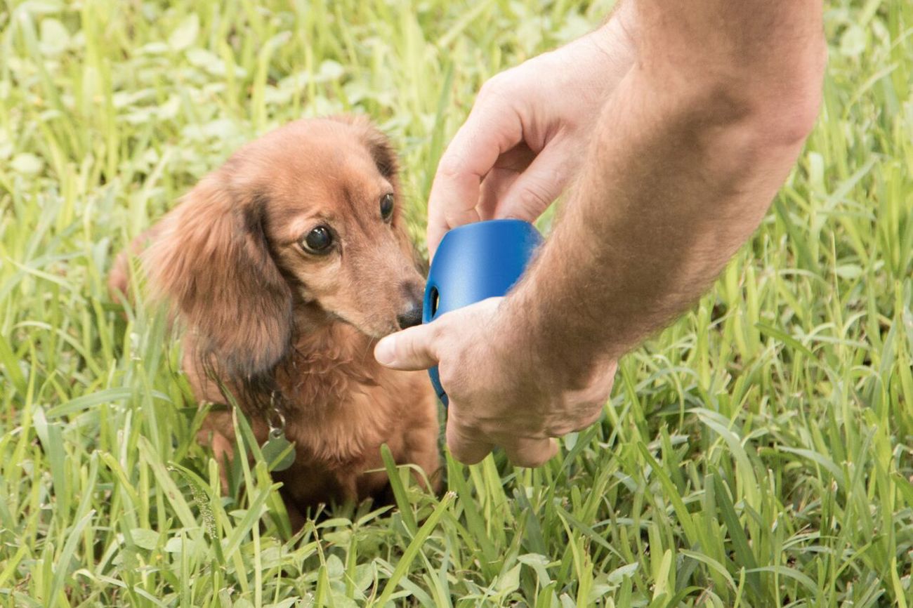 Tikr，Pet toys，Snack toys，