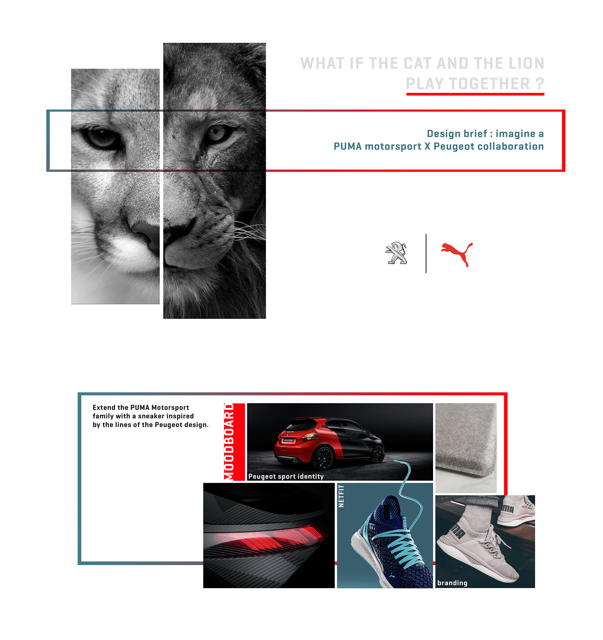 Cougar，sneakers，beautiful，