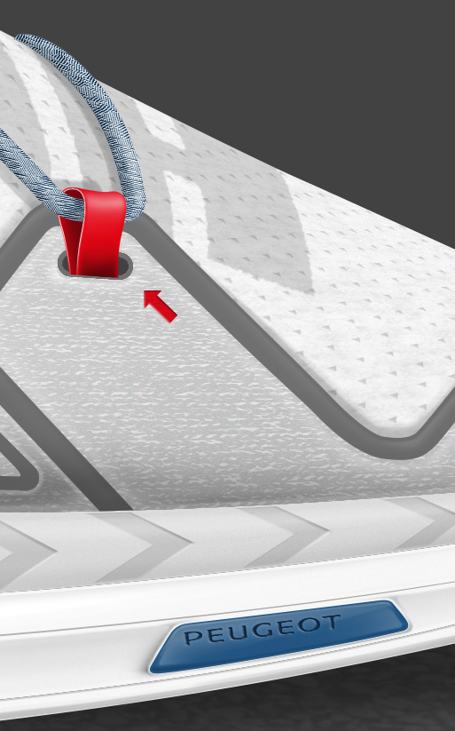 Cougar，sneakers，beautiful，