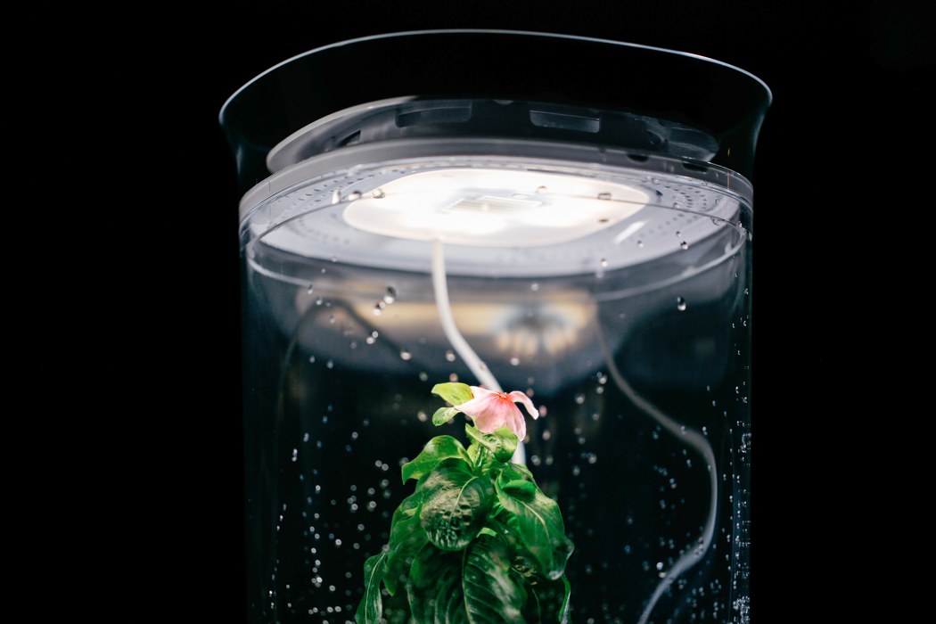 Bloomengine，intelligence，Botany，Implant，William Park，Jeehye Yoo，