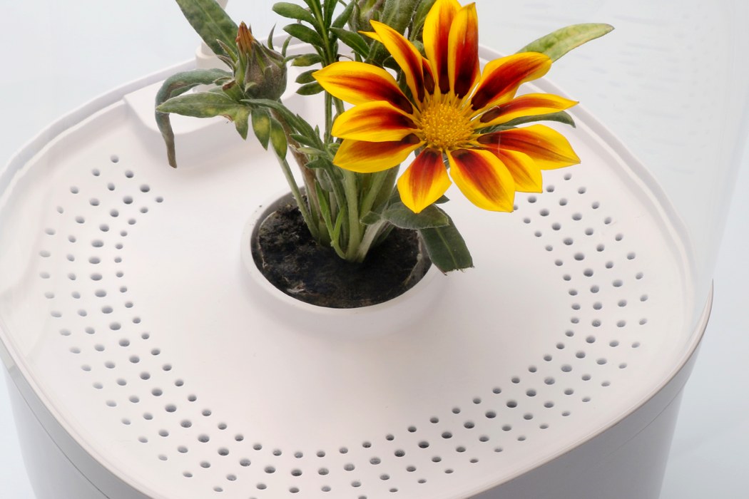 Bloomengine，intelligence，Botany，Implant，William Park，Jeehye Yoo，