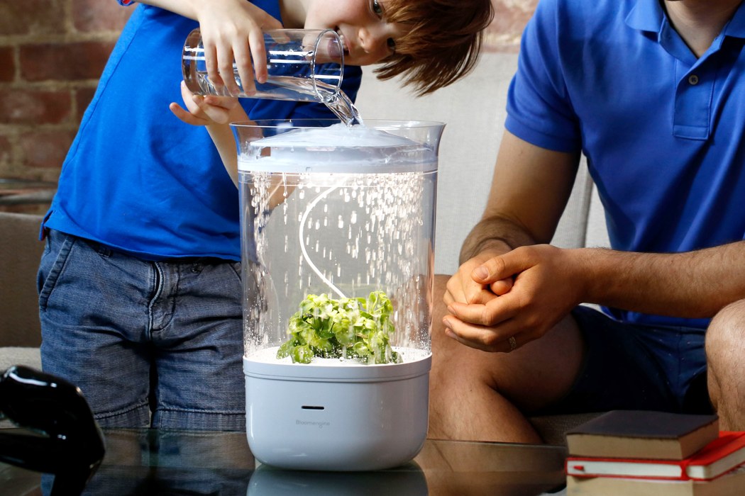 Bloomengine，intelligence，Botany，Implant，William Park，Jeehye Yoo，