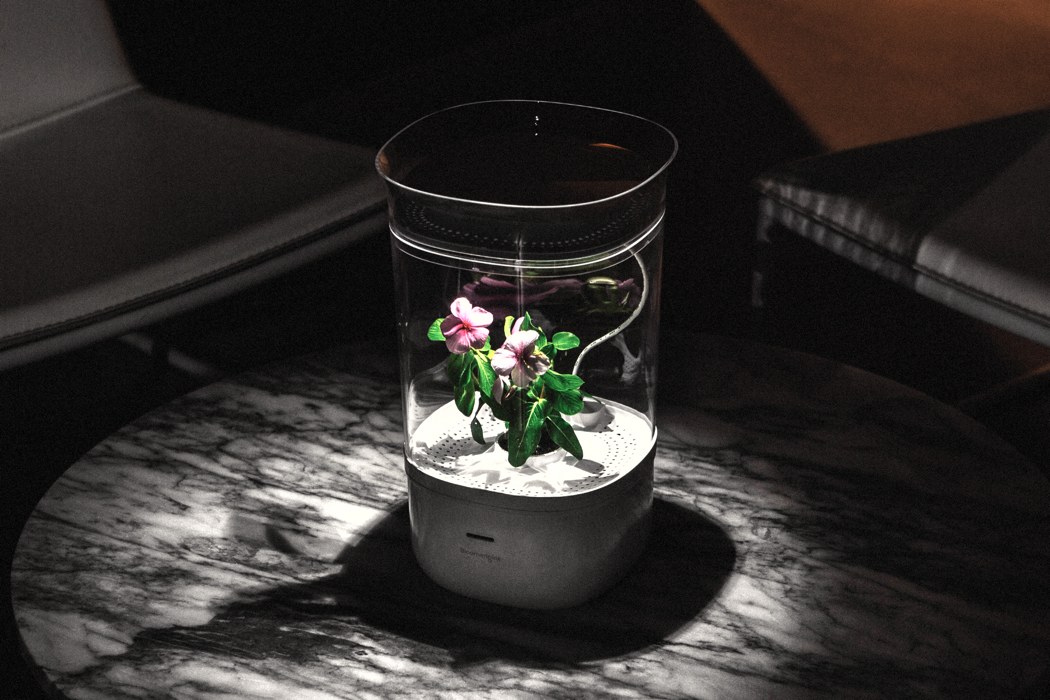 Bloomengine，intelligence，Botany，Implant，William Park，Jeehye Yoo，