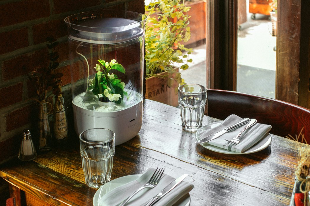 Bloomengine，intelligence，Botany，Implant，William Park，Jeehye Yoo，