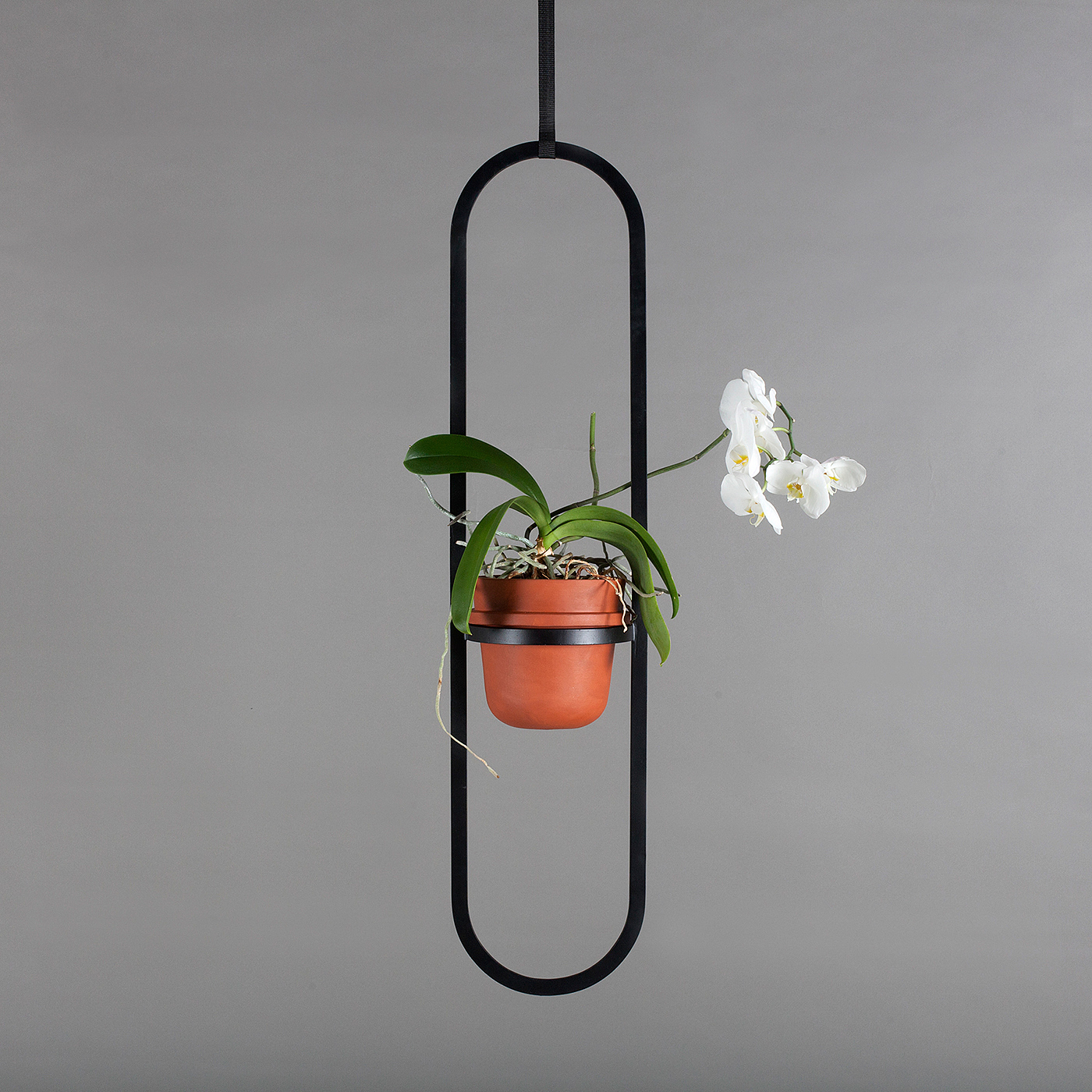 Brick color，Kuiper Belt，Flowerpot，Hanging type，