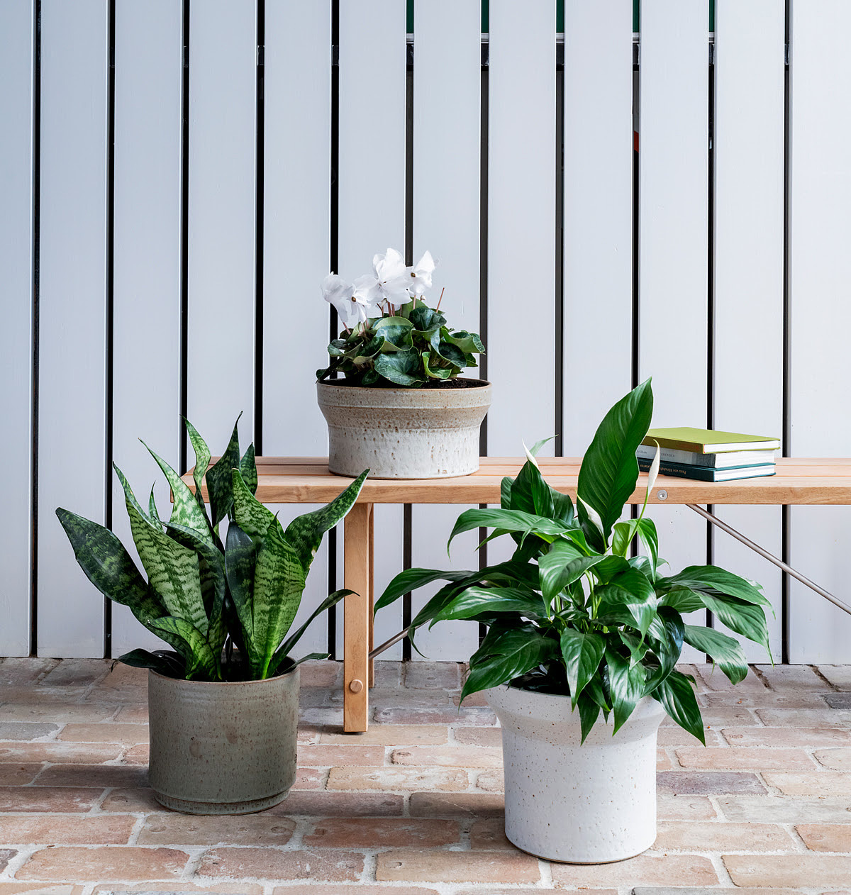 plant，Botany，Creative products，Pottery，