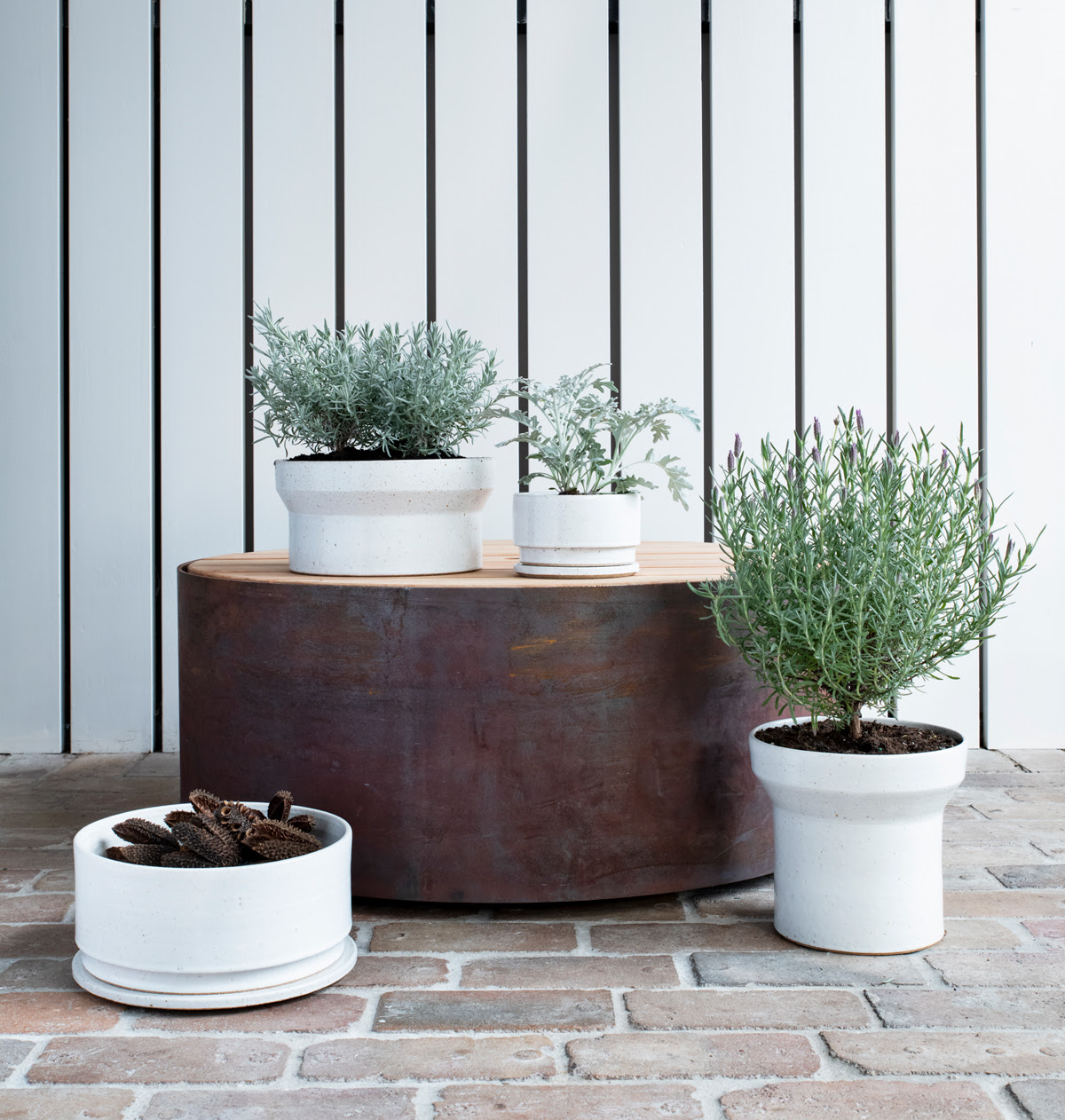 plant，Botany，Creative products，Pottery，