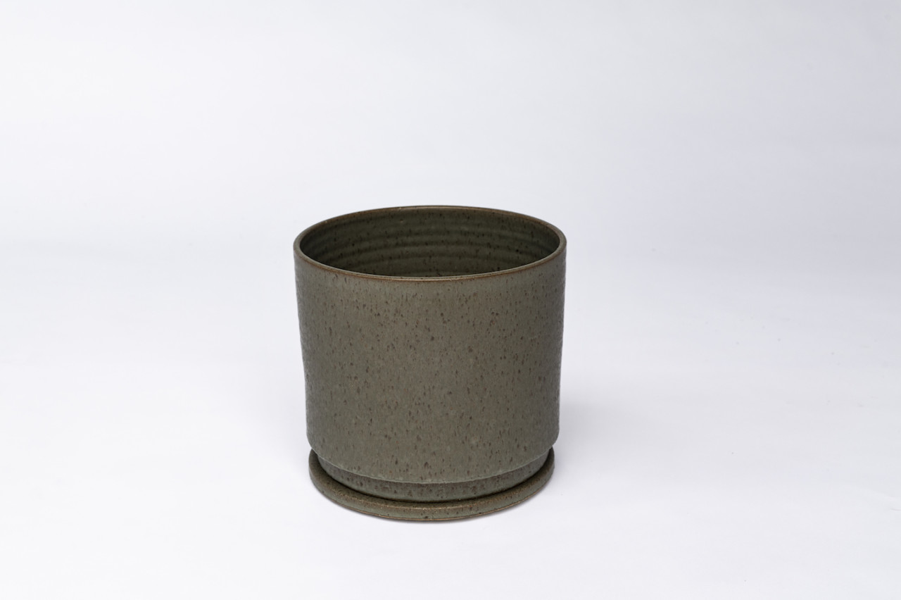 plant，Botany，Creative products，Pottery，