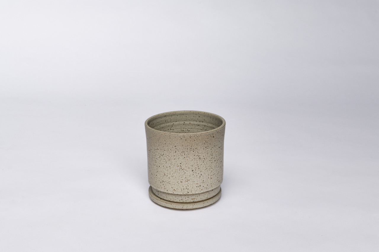 plant，Botany，Creative products，Pottery，