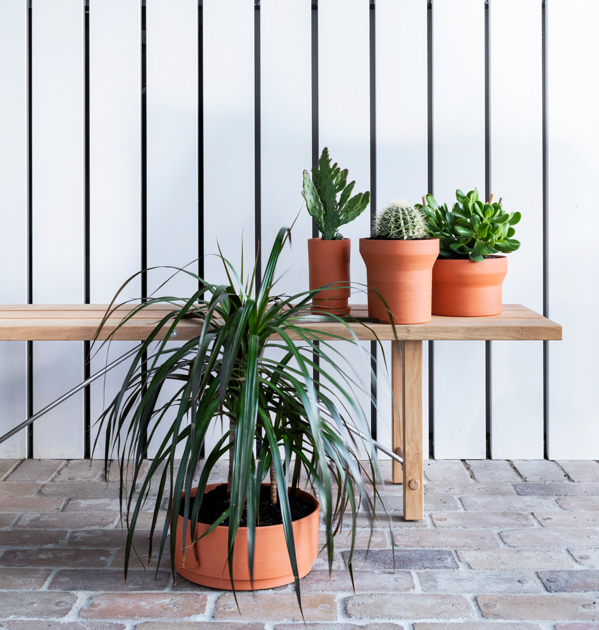 plant，Botany，Creative products，Pottery，